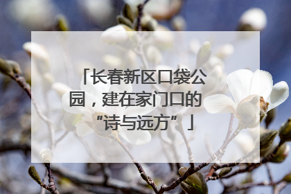 长春新区口袋公园，建在家门口的“诗与远方”
