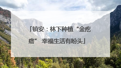 镇安：林下种植“金疙瘩” 幸福生活有盼头