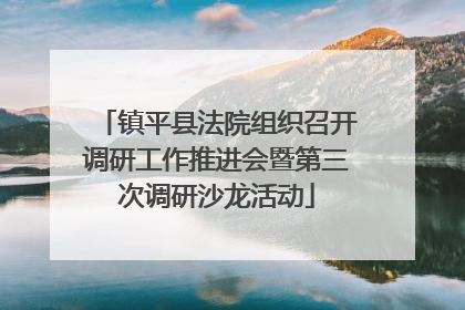 镇平县法院组织召开调研工作推进会暨第三次调研沙龙活动