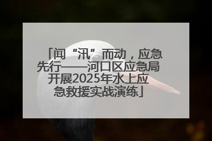 闻“汛”而动，应急先行——河口区应急局开展2025年水上应急救援实战演练