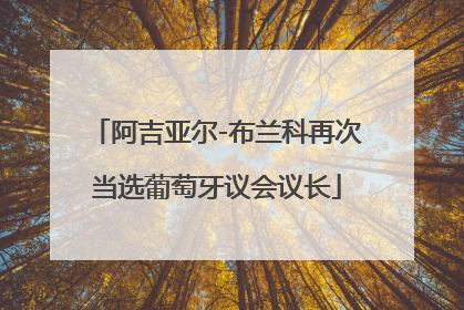 阿吉亚尔-布兰科再次当选葡萄牙议会议长