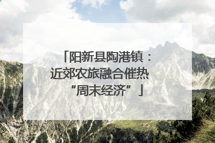 阳新县陶港镇：近郊农旅融合催热“周末经济”