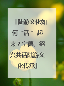 陆游文化如何“活 ”起来？宁德、绍兴共话陆游文化传承