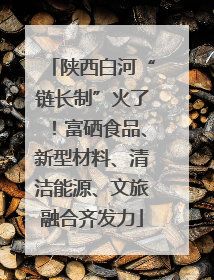 陕西白河“链长制”火了！富硒食品、新型材料、清洁能源、文旅融合齐发力