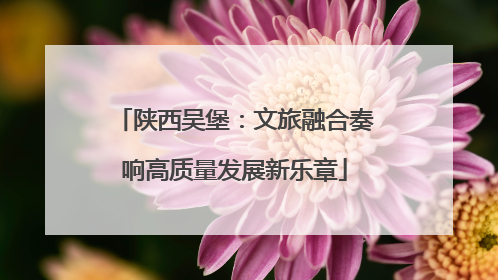 陕西吴堡：文旅融合奏响高质量发展新乐章