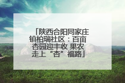 陕西合阳同家庄镇柏瑞社区：百亩杏园迎丰收 果农走上“杏”福路