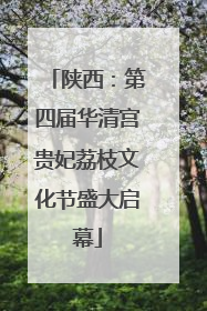 陕西：第四届华清宫贵妃荔枝文化节盛大启幕