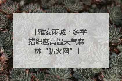 雅安雨城：多举措织密高温天气森林“防火网”