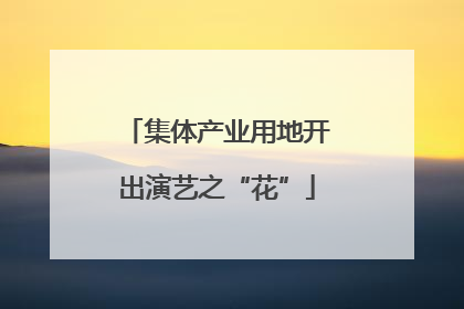 集体产业用地开出演艺之“花”