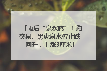 雨后“泉欢腾”！趵突泉、黑虎泉水位止跌回升，上涨3厘米