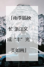 雨季插秧忙 浙江文成“丰”光美如画