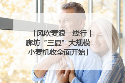 风吹麦浪一线行｜廊坊“三夏”大规模小麦机收全面开始