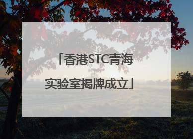 香港STC青海实验室揭牌成立