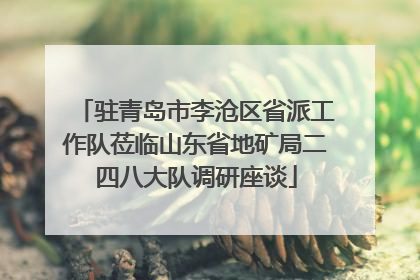 驻青岛市李沧区省派工作队莅临山东省地矿局二四八大队调研座谈