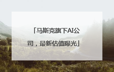 马斯克旗下AI公司，最新估值曝光