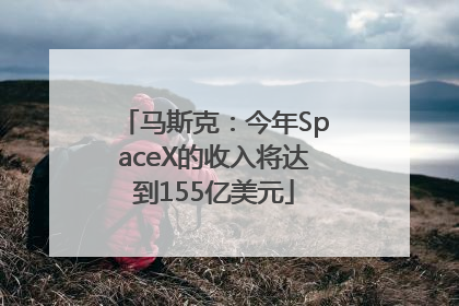 马斯克：今年SpaceX的收入将达到155亿美元