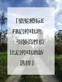 骆驼橙标EFB启停电池：引领高性价比启停电池新选择