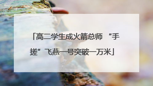 高二学生成火箭总师 “手搓”飞燕一号突破一万米