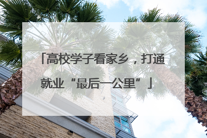 高校学子看家乡，打通就业“最后一公里”
