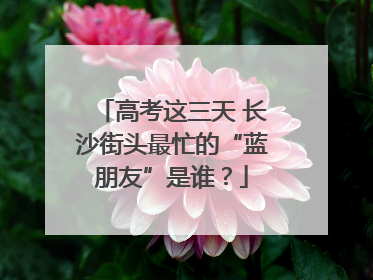 高考这三天 长沙街头最忙的“蓝朋友”是谁？