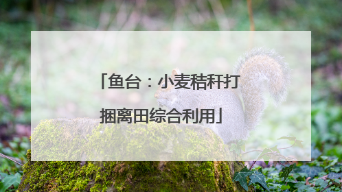 鱼台：小麦秸秆打捆离田综合利用