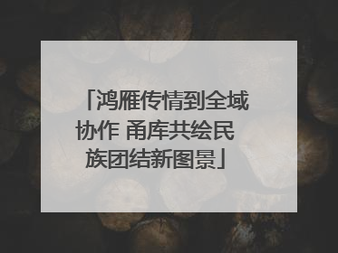 鸿雁传情到全域协作 甬库共绘民族团结新图景