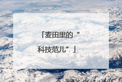 麦田里的“科技范儿”