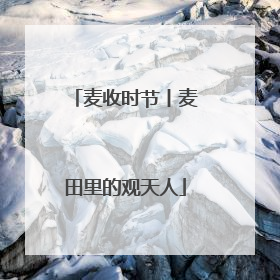 麦收时节丨麦田里的观天人