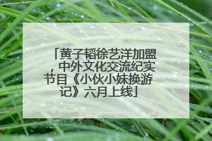黄子韬徐艺洋加盟，中外文化交流纪实节目《小伙小妹换游记》六月上线