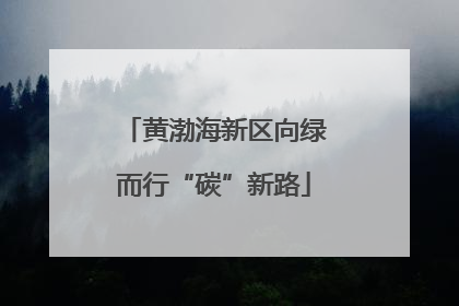 黄渤海新区向绿而行“碳”新路