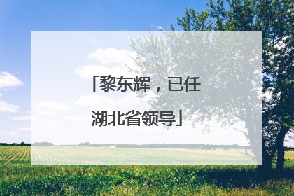 黎东辉，已任湖北省领导