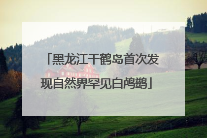 黑龙江千鹤岛首次发现自然界罕见白鸬鹚