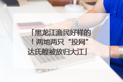 黑龙江渔民好样的！两地两只“投网”达氏鳇被放归大江