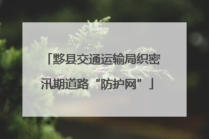 黟县交通运输局织密汛期道路“防护网”