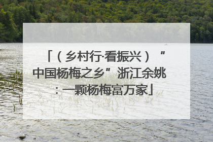 （乡村行·看振兴）“中国杨梅之乡”浙江余姚：一颗杨梅富万家