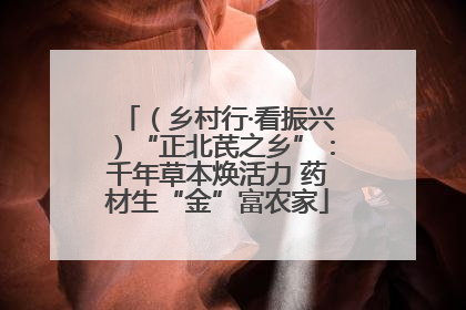 （乡村行·看振兴）“正北芪之乡”：千年草本焕活力 药材生“金”富农家