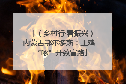 （乡村行·看振兴）内蒙古鄂尔多斯：土鸡“啄”开致富路