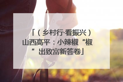 （乡村行·看振兴）山西高平：小辣椒“椒”出致富新答卷
