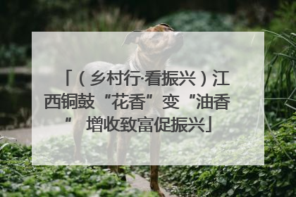 （乡村行·看振兴）江西铜鼓“花香”变“油香” 增收致富促振兴