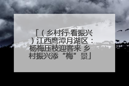 （乡村行·看振兴）江西鹰潭月湖区：杨梅压枝迎客来 乡村振兴添“梅”景