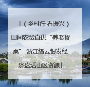 （乡村行·看振兴）田间农货直供“养老餐桌” 浙江缙云银发经济盘活山区资源