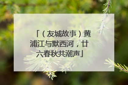 （友城故事）黄浦江与默西河，廿六春秋共潮声