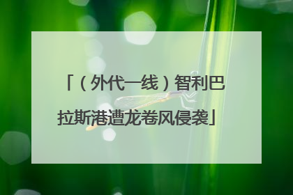 （外代一线）智利巴拉斯港遭龙卷风侵袭