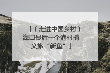 （走进中国乡村）海口最后一个渔村捕文旅“新鱼”