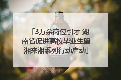 3万余岗位引才 湖南省促进高校毕业生留湘来湘系列行动启动