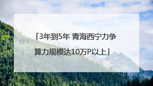 3年到5年 青海西宁力争算力规模达10万P以上