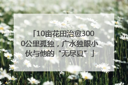 10亩花田治愈3000公里孤独，广水独眼小伙与他的“无尽夏”