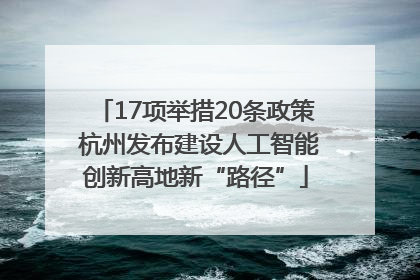 17项举措20条政策 杭州发布建设人工智能创新高地新“路径”