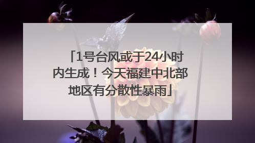 1号台风或于24小时内生成！今天福建中北部地区有分散性暴雨