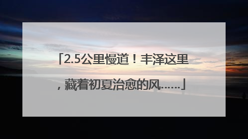 2.5公里慢道！丰泽这里，藏着初夏治愈的风……